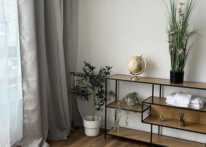 Апартаменты Weinhaus Drosseleck Рюдесхайм-на-Рейне